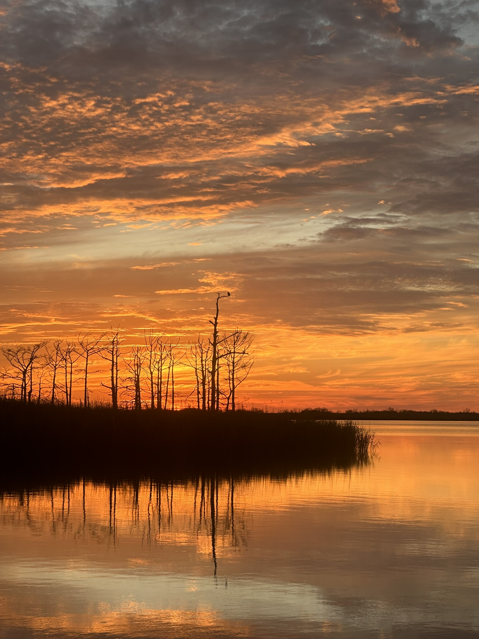 United States-National Parks-Other - Image 2362